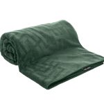 Πετσέτα Θαλάσσης Icon Verde