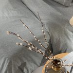 Σετ 4τμχ. Σεντόνια Avanti Flannel